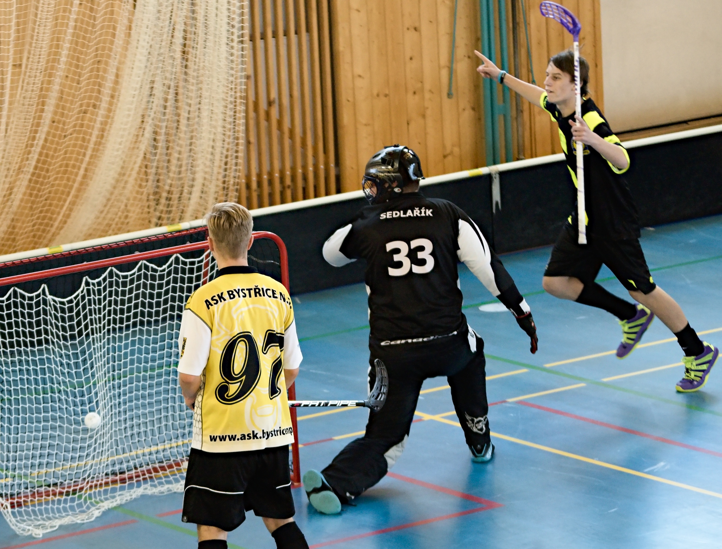 JunciLedec241015 111